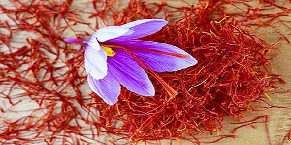 تصویر 2 از قیمت خرید زعفران اصیل خراسان + فروش ویژه