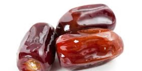 تصویر 2 از قیمت خرما کبکاب ممتاز + خرید باور نکردنی