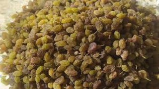 تصویر 2 از خرید کشمش سایه خشک + قیمت فروش استثنایی