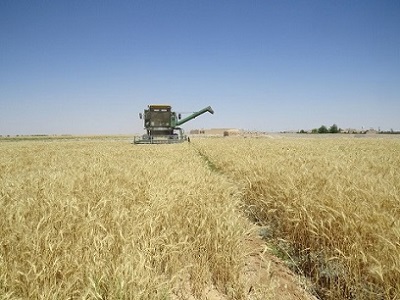 تصویر 1 از خرید و فروش کمباین کشاورزی بزرگ با شرایط فوق العاده