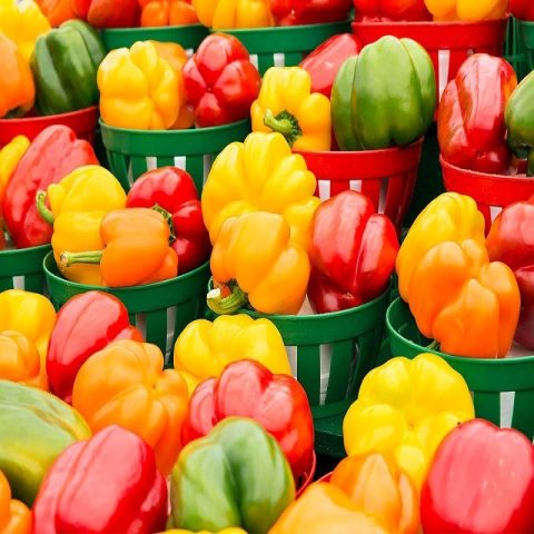خرید فلفل دلمه ای رنگی + قیمت فروش استثنایی