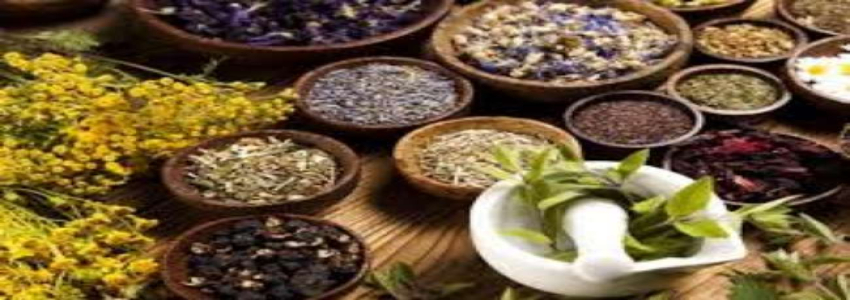 تصویر 1 از قیمت گیاهان دارویی عجیب + خرید باور نکردنی