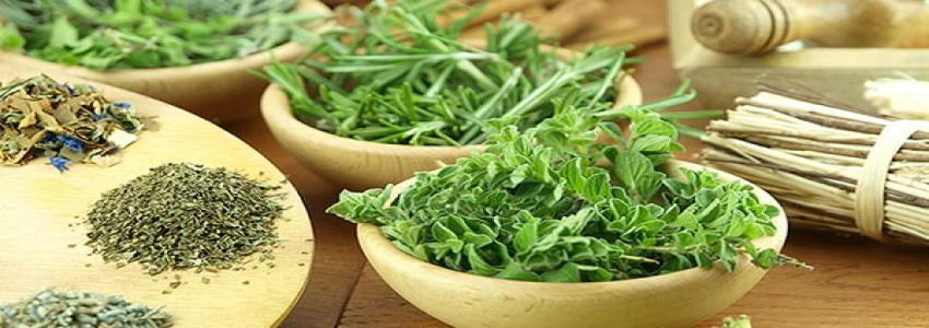 تصویر 3 از قیمت گیاهان دارویی عجیب + خرید باور نکردنی