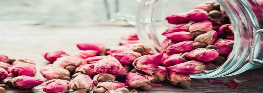 تصویر 4 از قیمت گل محمدی اعلا + خرید باور نکردنی