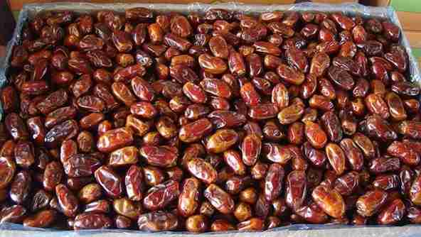 تصویر 4 از خرید خرما ضایعاتی شیراز + قیمت فروش استثنایی