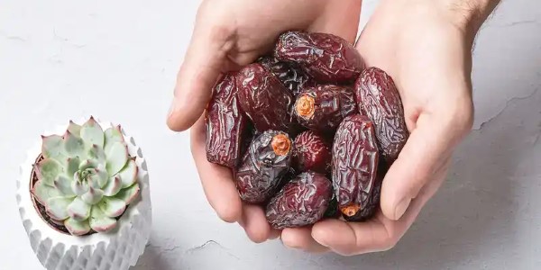 تصویر 2 از خرید و قیمت خرما مجول مراکشی + فروش صادراتی