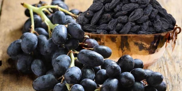 تصویر 1 از خرید کشمش بی دانه انگوری + قیمت فروش استثنایی