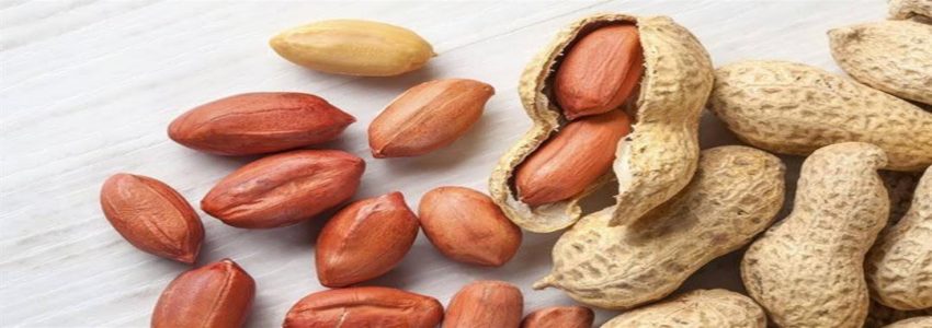 تصویر 2 از قیمت بادام زمینی و مشتقات صادراتی با کیفیت ارزان + خرید عمده