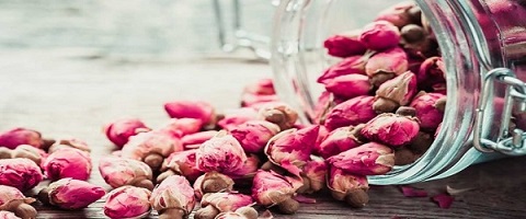 تصویر 1 از فروش گل محمدی تازه + قیمت خرید به صرفه