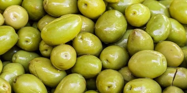 تصویر 5 از قیمت زیتون دانه درشت با کیفیت ارزان + خرید عمده