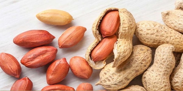 تصویر 5 از خرید و فروش بادام زمینی کپسولی با شرایط فوق العاده