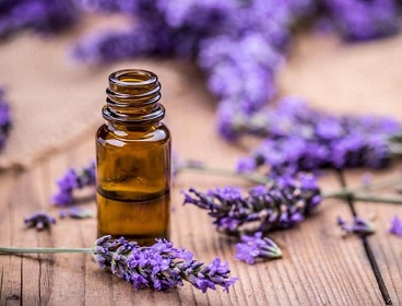 تصویر 5 از خرید و قیمت شربت گیاهی اسطوخودوس + فروش عمده