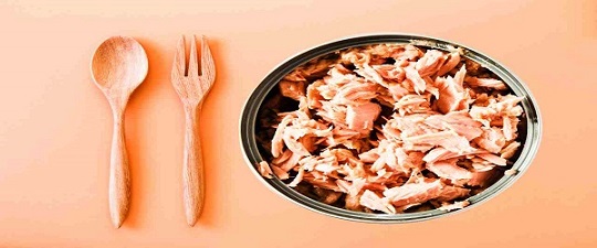 تصویر 2 از خرید و قیمت تن ماهی شیلتون دودی + فروش عمده