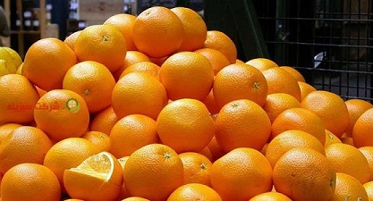 تصویر 3 از قیمت خرید پرتقال تامسون درجه یک + فروش ویژه