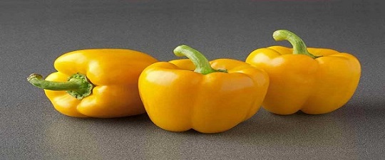 تصویر 4 از خرید و قیمت فلفل دلمه ای قرمز اراک + فروش عمده