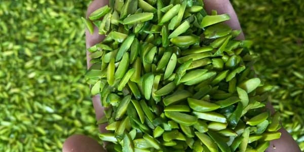 تصویر 5 از خرید و قیمت خلال پسته فله + فروش عمده