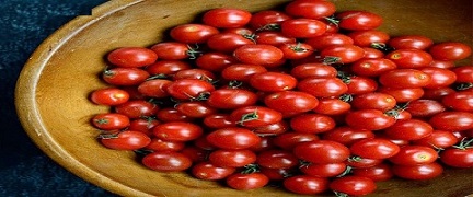 تصویر 1 از خرید و قیمت گوجه زیتونی اماریس تهران + فروش عمده