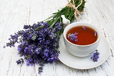 تصویر 1 از خرید و فروش گل گاو زبان معطر با شرایط فوق العاده