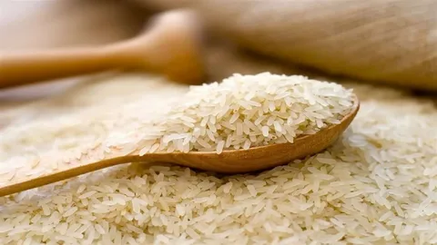 تصویر 1 از خرید برنج شمال هاشمی + قیمت فروش استثنایی
