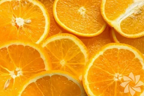 تصویر 2 از خرید و قیمت پرتقال خشک شکلاتی + فروش عمده