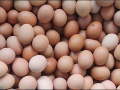 تصویر 2 از قیمت تخم مرغ درشت اراک + خرید باور نکردنی