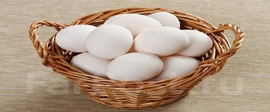 تصویر 4 از قیمت تخم مرغ درشت اراک + خرید باور نکردنی