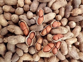 تصویر 1 از فروش بادام زمینی عمده آستانه + قیمت خرید به صرفه