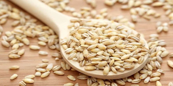 تصویر 1 از قیمت دانه جو دوسر + خرید باور نکردنی