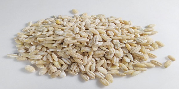 تصویر 5 از قیمت دانه جو دوسر + خرید باور نکردنی