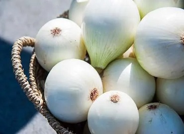 تصویر 2 از قیمت خرید پیاز سفید درشت + فروش ویژه