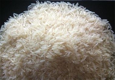 تصویر 3 از قیمت خرید برنج چمپا شوشتر + فروش ویژه