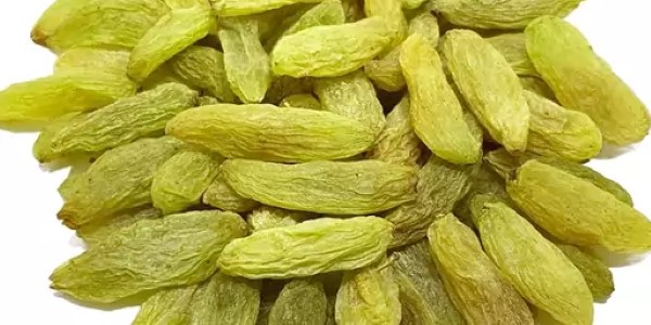 تصویر 4 از قیمت کشمش سبز قلمی درجه ۲ با کیفیت ارزان + خرید عمده