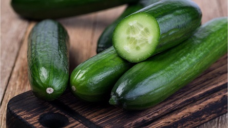 تصویر 3 از قیمت خرید خیار سبز درختی + فروش ویژه