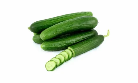 تصویر 4 از قیمت خرید خیار سبز درختی + فروش ویژه