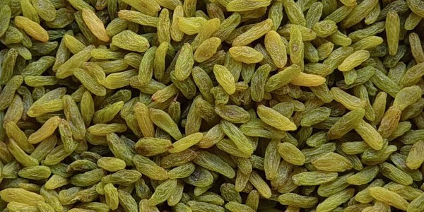 تصویر 5 از خرید و فروش کشمش سبز قلمی درجه ۳ با شرایط فوق العاده