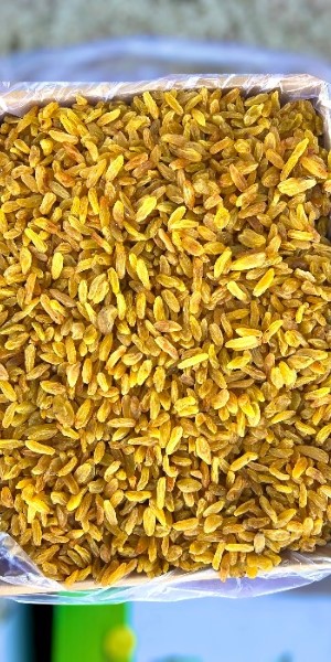 تصویر 5 از قیمت خرید کشمش زرد قلمی با فروش عمده