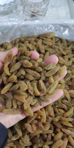 تصویر 1 از خرید و قیمت کشمش سبز ممتاز + فروش صادراتی
