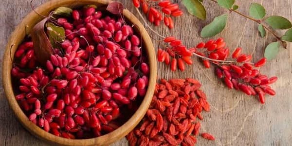 تصویر 3 از قیمت زرشک دانه اناری اعلا با کیفیت ارزان + خرید عمده