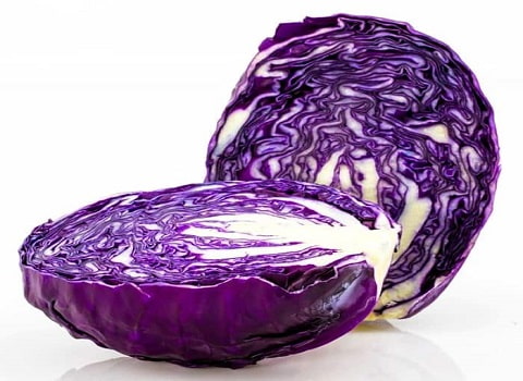 تصویر 4 از خرید کلم پیچ قرمز + قیمت فروش استثنایی