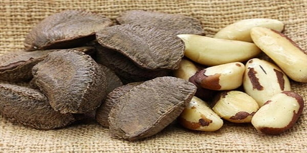 تصویر 3 از خرید و فروش بادام برزیلی مشهد با شرایط فوق العاده