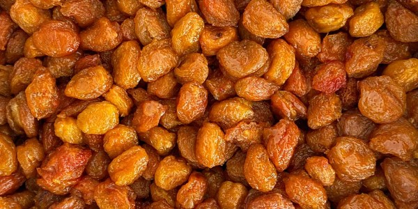 تصویر 3 از خرید آلو بخارا شوقان + قیمت فروش استثنایی