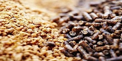 تصویر 2 از قیمت خرید مکمل دامی پرواری + فروش ویژه