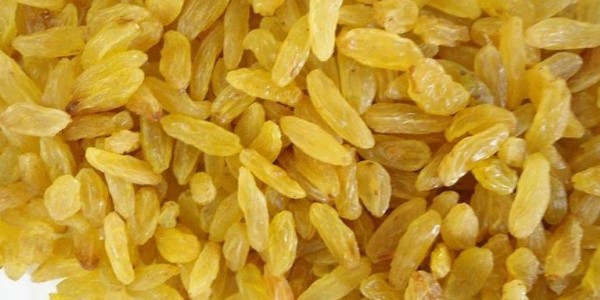 تصویر 1 از قیمت خرید کشمش زرد طلایی قلمی درجه ۲ + فروش ویژه
