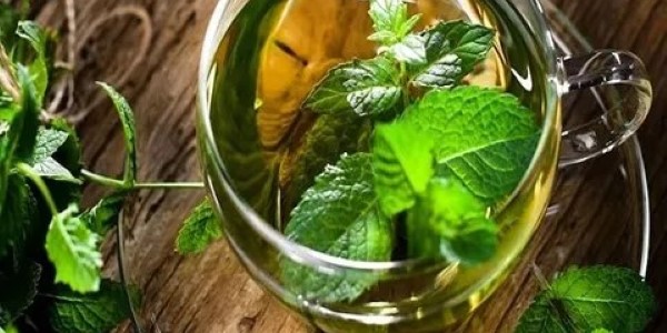 تصویر 5 از قیمت عرق گیاهی نعناع + خرید باور نکردنی