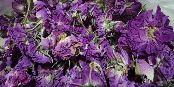 تصویر 1 از فروش گل محمدی خشک کرده + قیمت خرید به صرفه