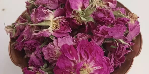 تصویر 2 از فروش گل محمدی خشک کرده + قیمت خرید به صرفه