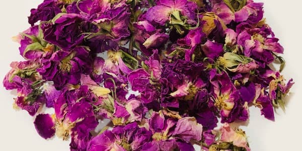 تصویر 4 از فروش گل محمدی خشک کرده + قیمت خرید به صرفه