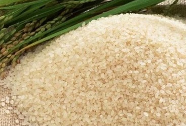 تصویر 5 از قیمت خرید برنج عنبربو نیم دانه + فروش ویژه