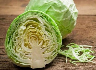 تصویر 2 از قیمت خرید کاهو آیسبرگ صادراتی + فروش ویژه