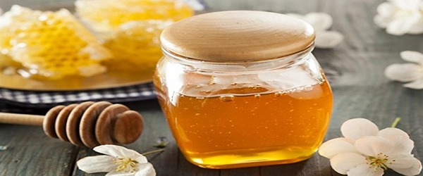 تصویر 1 از خرید عسل طبیعی کوهستان + قیمت فروش استثنایی
